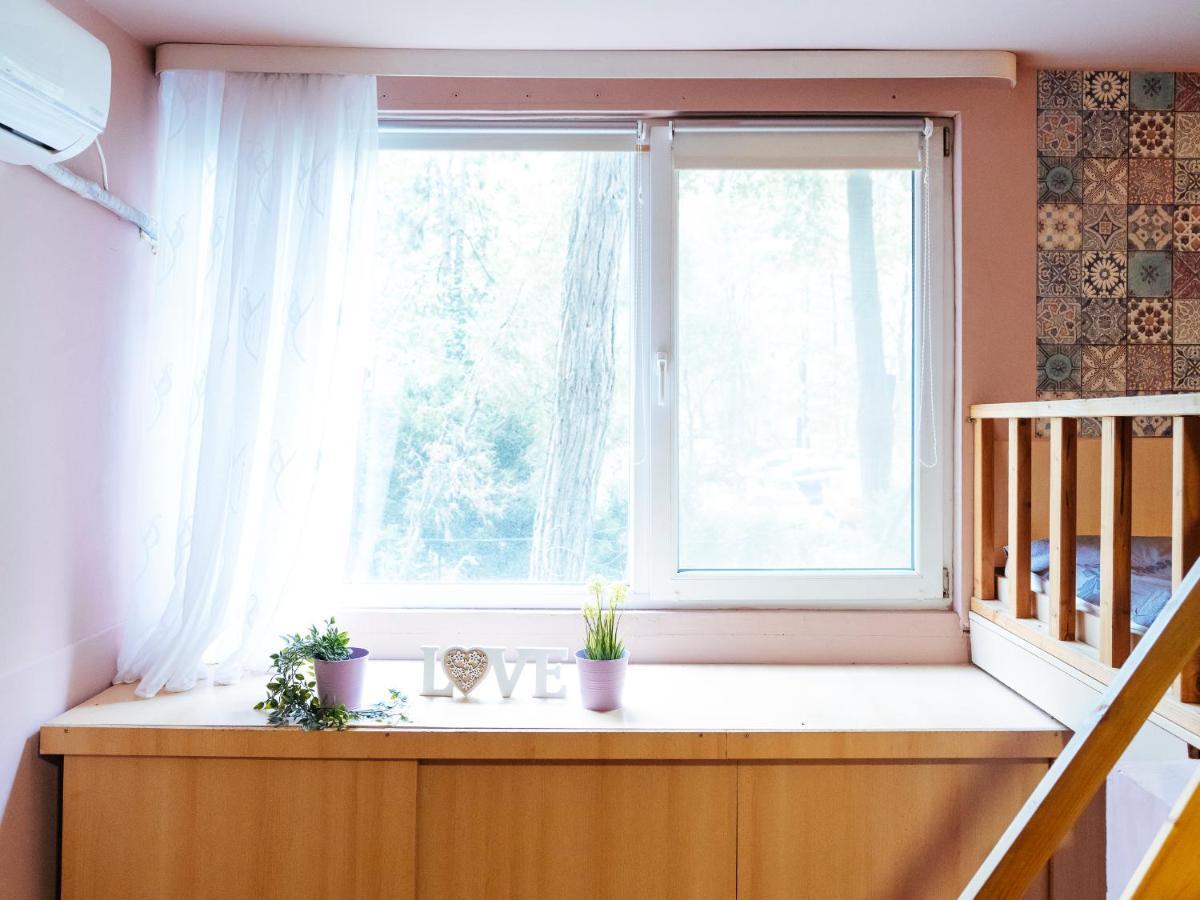 Woody - Cozy And Quiet Place Near Moghioros Park ブカレスト エクステリア 写真
