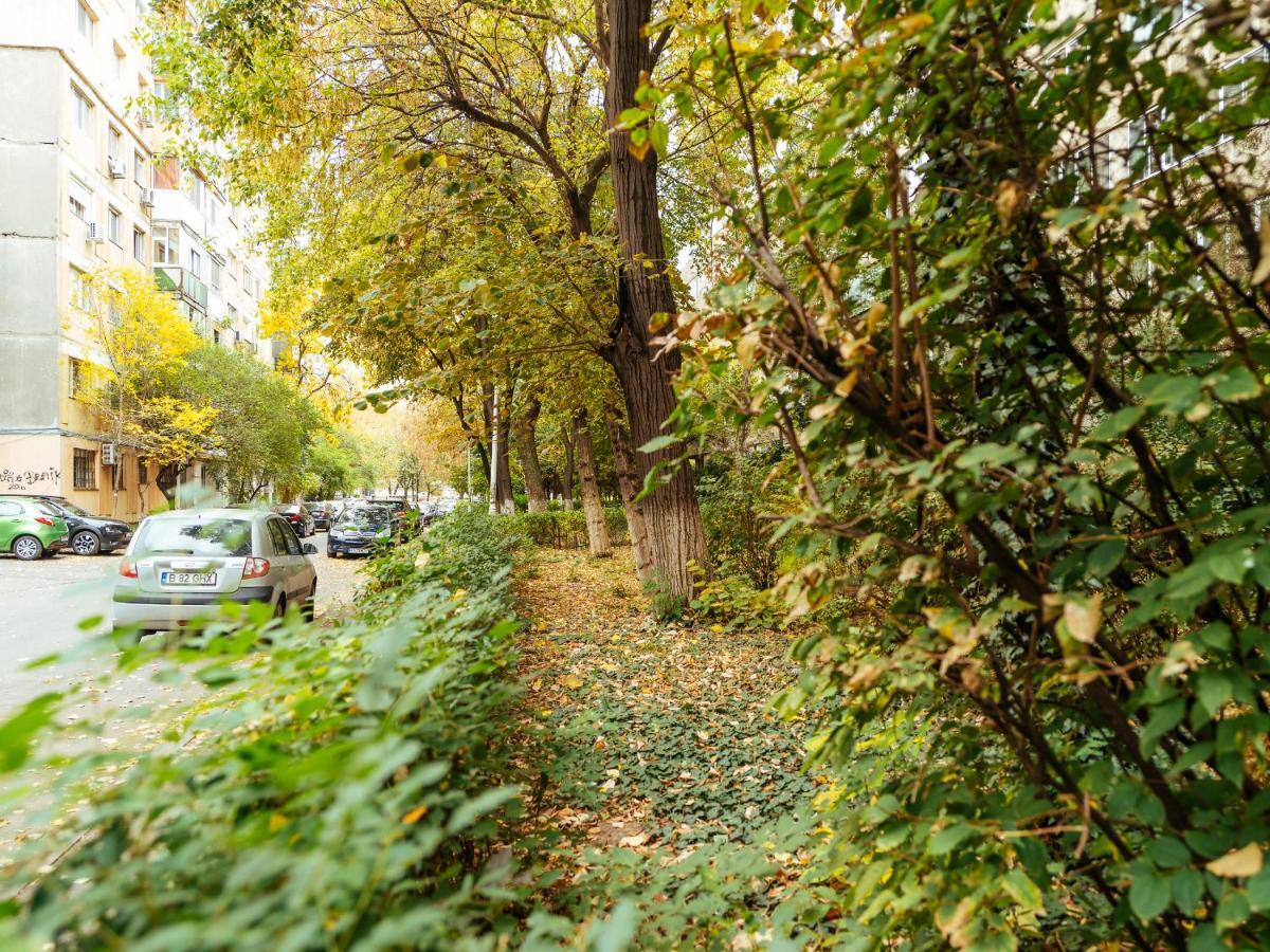 Woody - Cozy And Quiet Place Near Moghioros Park ブカレスト エクステリア 写真